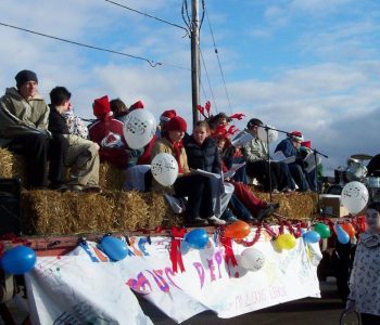 Lions Parade 2001-6